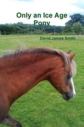 Only An Ice Age Pony [Paperback]