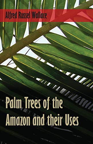 Palm Trees of the Amazon and Their Uses [Paperback]