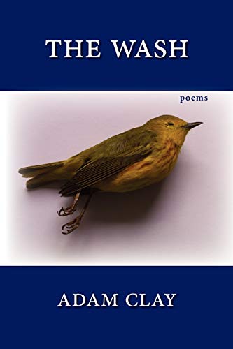 The Wash [Paperback]