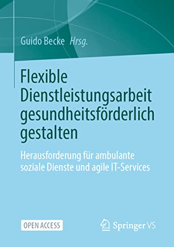 Flexible Dienstleistungsarbeit gesundheitsfrderlich gestalten Herausforderung  [Paperback]