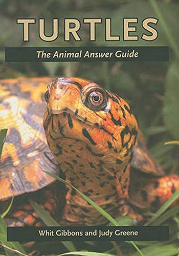 Turtles The Animal Answer Guide (the Animal Answer Guides Q&a For The Curious  [Hardcover]