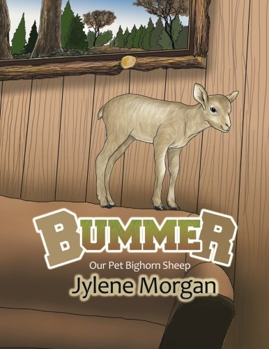 Bummer  Our Pet Bighorn Sheep [Paperback]