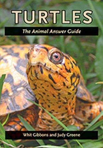 Turtles The Animal Answer Guide (the Animal Answer Guides Q&a For The Curious  [Paperback]
