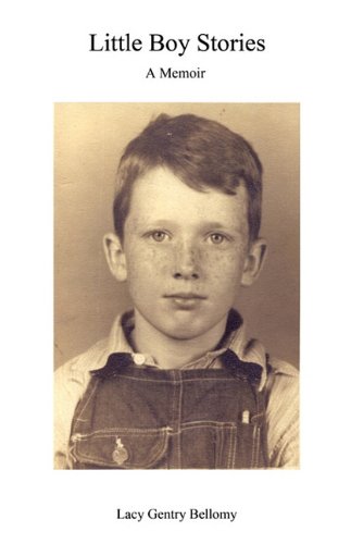 Little Boy Stories [Paperback]