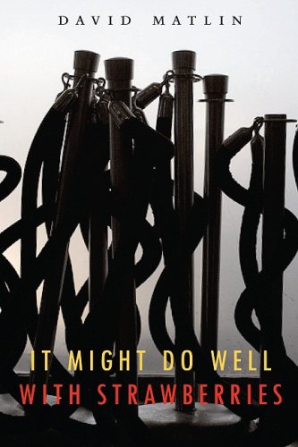 It Might Do Well with Strawberries [Paperback]