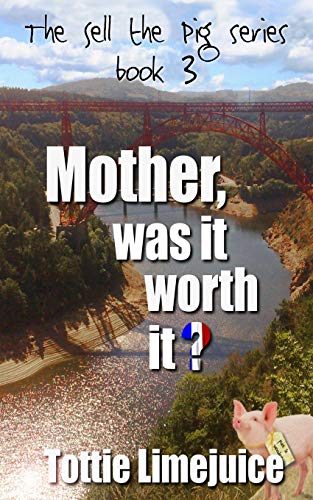 Mother Was It Worth It [Paperback]