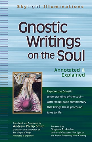 Gnostic Writings on the Soul Annotated &amp Explained [Paperback]