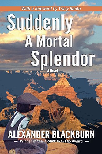 Suddenly A Mortal Splendor [Paperback]
