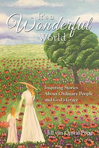 It's A Wonderful World Inspiring Stories About Ordinary People and God's Grace [Paperback]