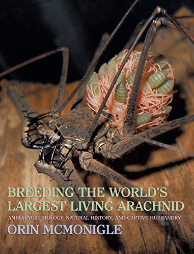 Breeding The World's Largest Living Arachnid Amblypygid (whipspider) Biology, N [Hardcover]