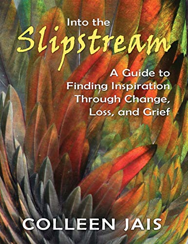 Into The Slipstream A Guide To Finding Inspiration Through Change, Loss, And Gr [Paperback]