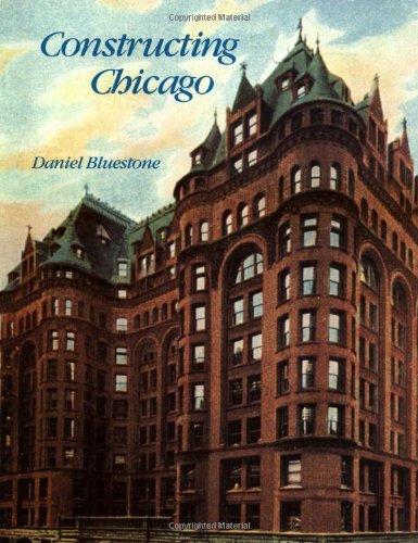 Constructing Chicago [Paperback]