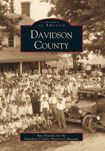 Davidson County [Paperback]