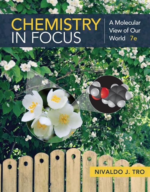 Chemistry in Focus A Molecular View of Our World [Paperback]