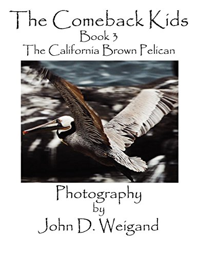 Comeback Kids, Book 3, the California Brown Pelican [Paperback]