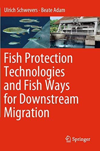 Fish Protection Technologies and Fish Ways for Downstream Migration [Paperback]