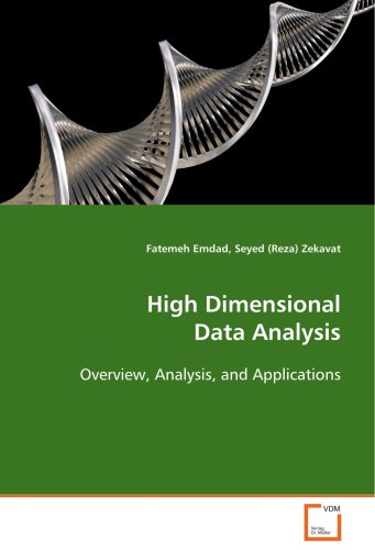 High Dimensional Data Analysis [Paperback]