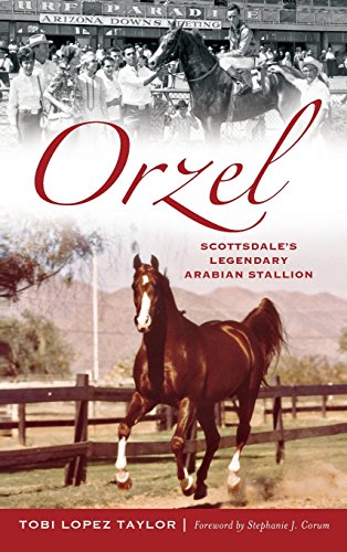 Orzel  Scottsdale's Legendary Arabian Stallion [Hardcover]