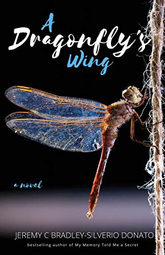 Dragonfly's Wing [Paperback]