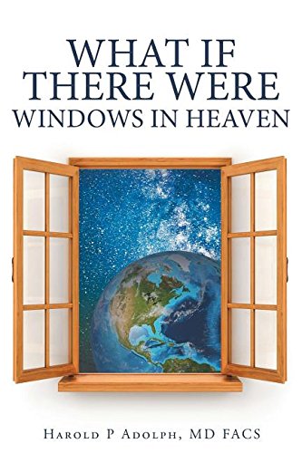 What If There Were Windows In Heaven [Paperback]