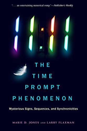 1111 The Time Prompt Phenomenon         [TRADE PAPER         ]