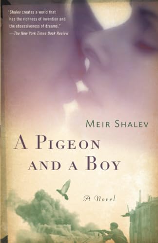 A Pigeon and a Boy A Novel [Paperback]