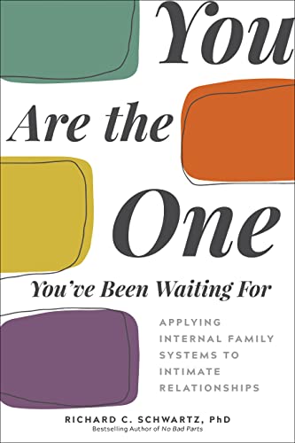 You Are the One You've Been Waiting For Applying Internal Family Systems to Int [Paperback]