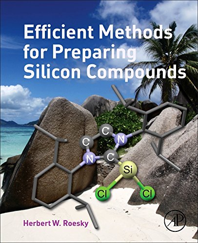 Efficient Methods for Preparing Silicon Compounds [Paperback]