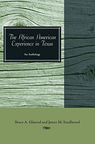 The African American Experience in Texas An Anthology [Paperback]