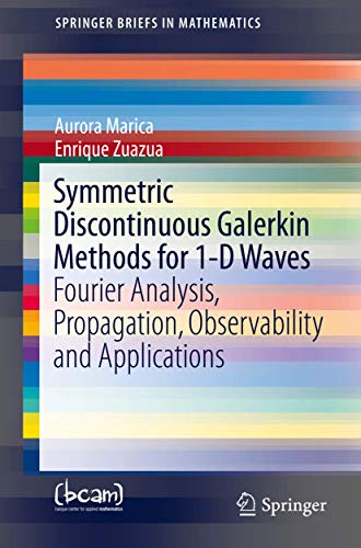 Symmetric Discontinuous Galerkin Methods for 1-D Waves Fourier Analysis, Propag [Paperback]