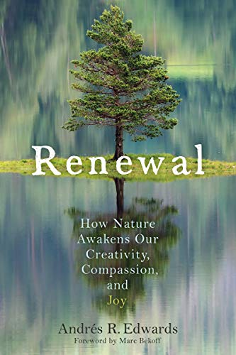 Renewal How Nature Awakens Our Creativity, Compassion, and Joy [Paperback]