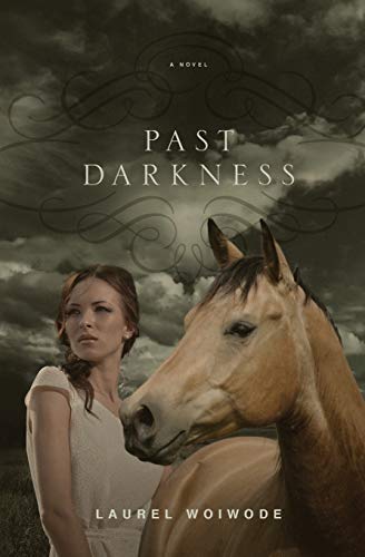 Past Darkness [Paperback]