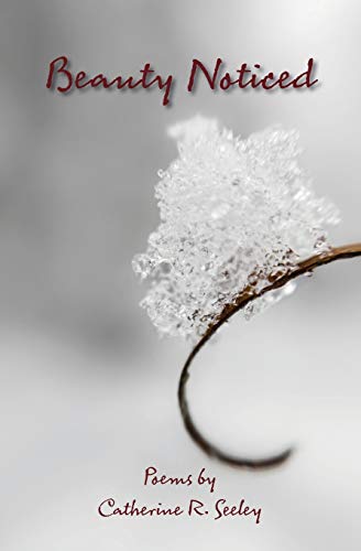 Beauty Noticed [Paperback]