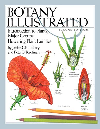 Botany Illustrated Introduction to Plants, Major Groups, Flowering Plant Famili [Paperback]