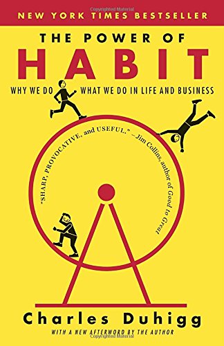 The Power of Habit: Why We Do What We Do in Life and Business [Paperback]