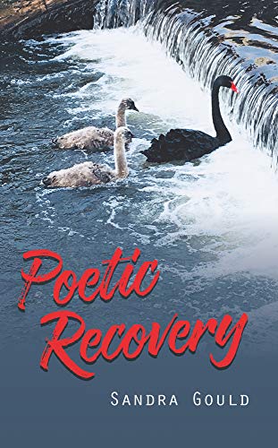 Poetic Recovery [Paperback]