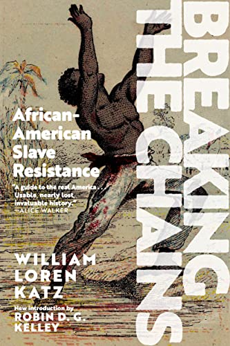 Breaking the Chains African American Slave Resistance [Paperback]