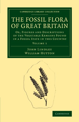 The Fossil Flora of Great Britain Or, Figures and Descriptions of the Vegetable [Paperback]