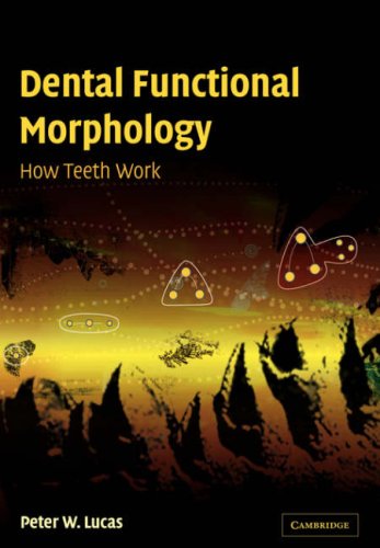 Dental Functional Morphology How Teeth Work [Paperback]