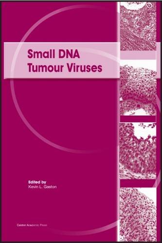 Small Dna Tumour Viruses [Hardcover]