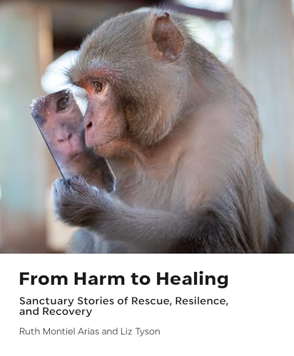 From Harm to Healing Sanctuary Stories of Rescue, Resilience, and Recovery [Hardcover]