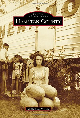 Hampton County [Paperback]