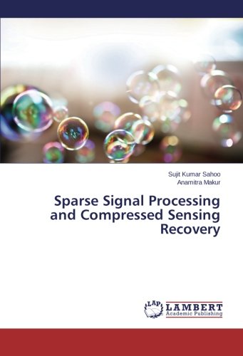 Sparse Signal Processing And Compressed Sensing Recovery [Paperback]