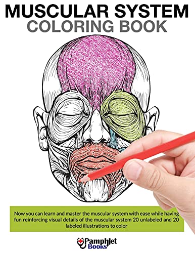 Muscular System Coloring Book [Paperback]