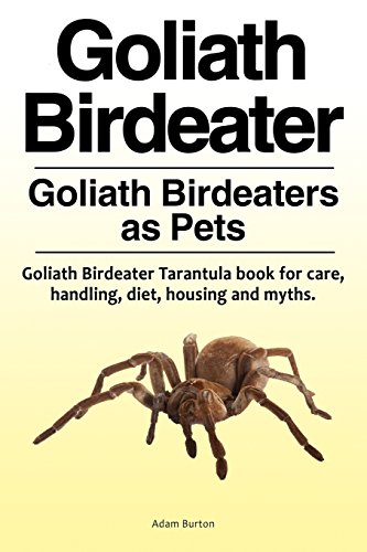 Goliath Birdeater . Goliath Birdeaters As Pets. Goliath Birdeater Tarantula Book [Paperback]