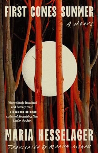 First Comes Summer A Novel [Paperback]
