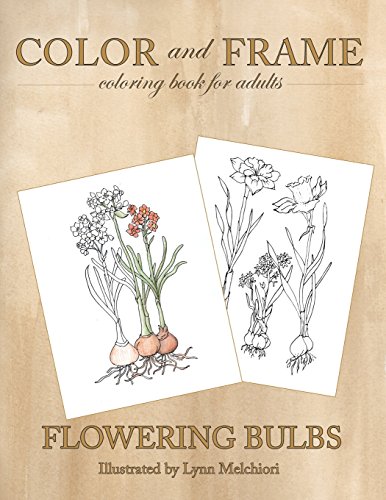 Color And Frame Flowering Bulbs [Paperback]