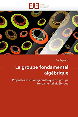 Le Groupe Fondamental Algbrique Proprits Et Vision Gomtrique Du Groupe Fon [Paperback]