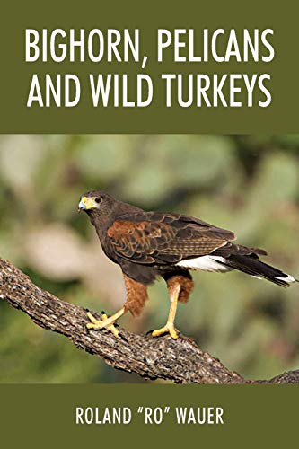 Bighorn, Pelicans and Wild Turkeys [Paperback]