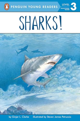 Sharks [Paperback]